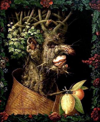 Giuseppe Arcimboldo: Zima